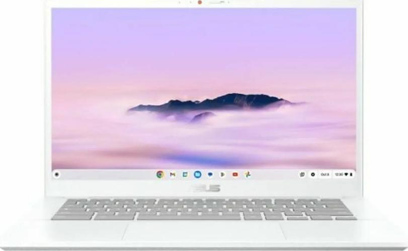 Asus Chromebook Plus CX34 CX3402CBA-MW034