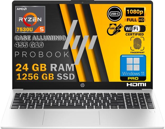 HP PROBOOK 455 G10 Argent en aluminium, RAM 24 Go, SSD 1256 Go, écran FullHD