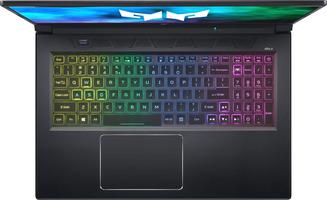 Gamer ACER Predator Helios 300 PH317-55-56YS