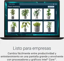 Dell 16 Laptop