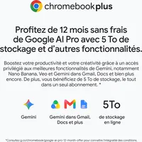 Acer Chromebook 315