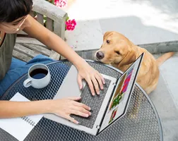 Asus Vivobook 14
