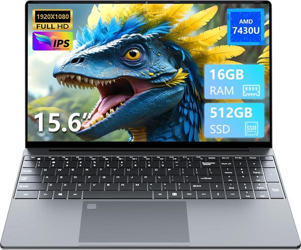 15,6 pouces AMD Ryzen 5 7430U, 16 Go de RAM SSD 512 Go, Carte Graphique Radeon, écran IPS Full HD, Type-C, USB 3.0, HDMI, clavier numérique rétroéclairé, Win11