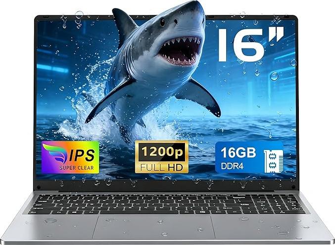 NAIKLULU 16 Pouces N150 (1,2 à 3,6 GHz) Processeur, 16GB RAM 1TB SSD 2026, Écran Full HD 1920x1080P, Batterie 5000mAh, Webcam, Carte TF