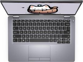 Dell Latitude 5310 Professionnel, écran FHD 13.3 Pouces (1920 x 1080), Intel Core i7-10610U, 16 Go de RAM, SSD de 256 Go, Clavier QWERTY américain, Windows 11 Pro (reconditionné)