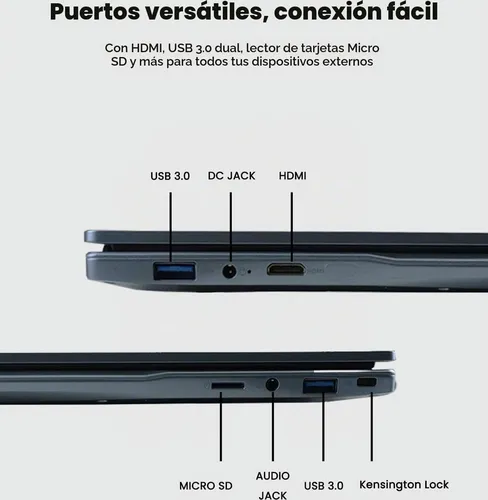 Breloom 2026 Laptop