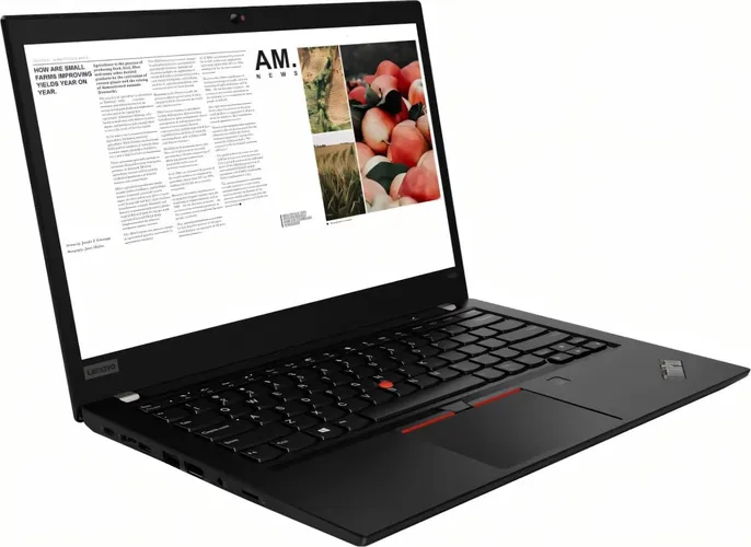 Lenovo ThinkPad T490