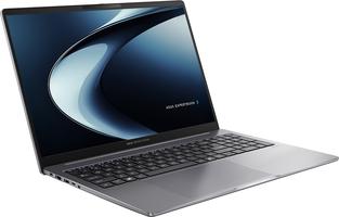 ASUS ExpertBook P3 PM3606CKA-MB0133X Copilot+