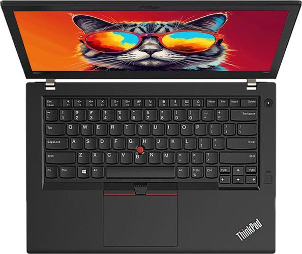 Lenovo ThinkPad T480 14 Pouces 1920 x 1080 Full HD Intel Core i5 8350U Disque Dur SSD 512 Go Mémoire 16 Go Windows 11 Pro INCL. Paquet Logiciel Webcam (généralement révisé)