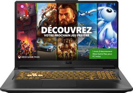 Asus TUF Gaming F17 TUF766HC-HX001T