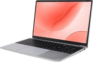 Tosuny de 15,6 Pulgadas, Procesador I3-6006U, HD Graphics 520, Pantalla 2K UHD, 8GB DDR4 RAM, 128GB SSD, Cámara Web HD, WiFi 2.4/5G, BT4.2, Teclado Retroiluminado, Wins 11 Pro (Silver)