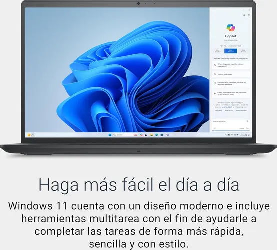 DELL 15