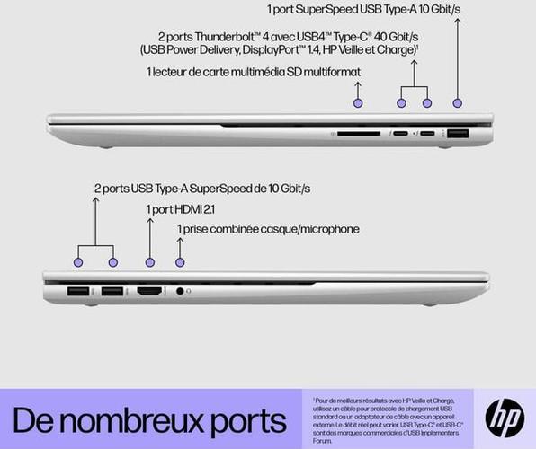 Charnière Droite HP Probook 17-f181nf / 17-F - D'origine - Occasion