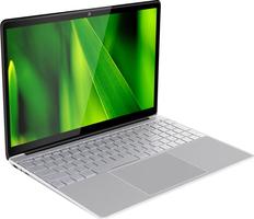 Ultrabook Windows 11 Quad Core 12+128Go Full HD 15.6 Pouces Argent YONIS